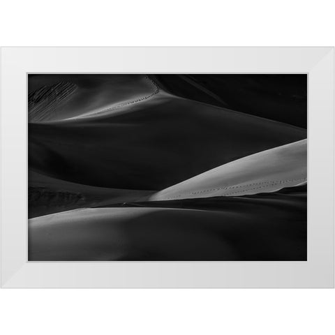 Dune Walk White Modern Wood Framed Art Print by Sherrell, Bill