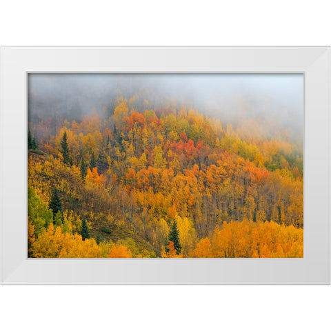 Emergence White Modern Wood Framed Art Print by Sherrell, Bill