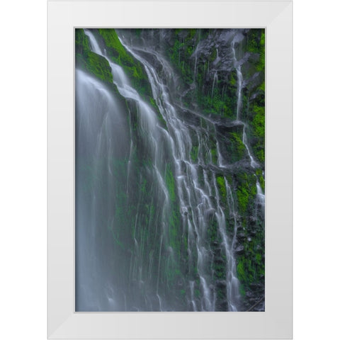 Flowing Grace White Modern Wood Framed Art Print by Sherrell, Bill
