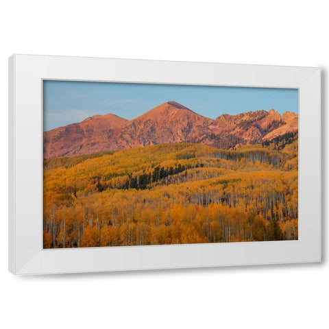 Majestic Autumn White Modern Wood Framed Art Print by Sherrell, Bill
