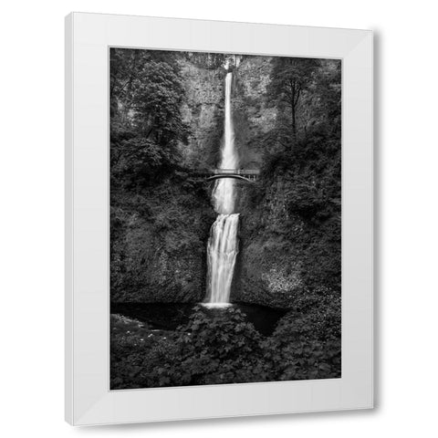 Multnomah Falls 1 White Modern Wood Framed Art Print by Sherrell, Bill