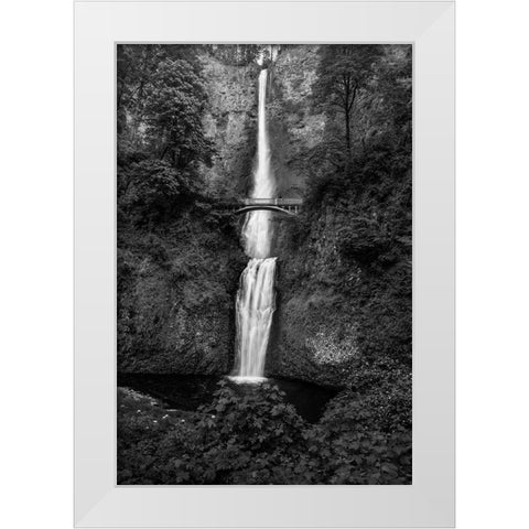 Multnomah Falls 1 White Modern Wood Framed Art Print by Sherrell, Bill