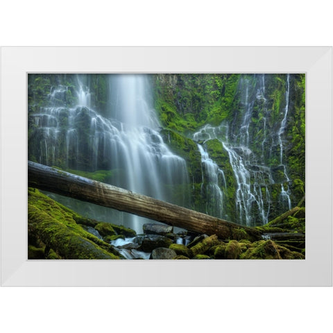 Proxy Falls White Modern Wood Framed Art Print by Sherrell, Bill