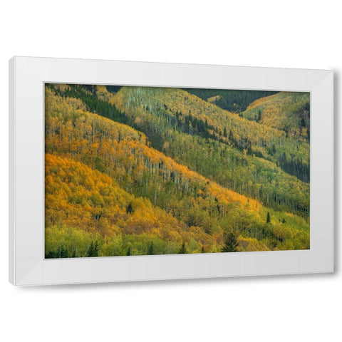 Rows Of Color White Modern Wood Framed Art Print by Sherrell, Bill
