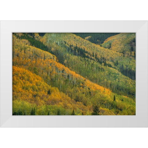 Rows Of Color White Modern Wood Framed Art Print by Sherrell, Bill