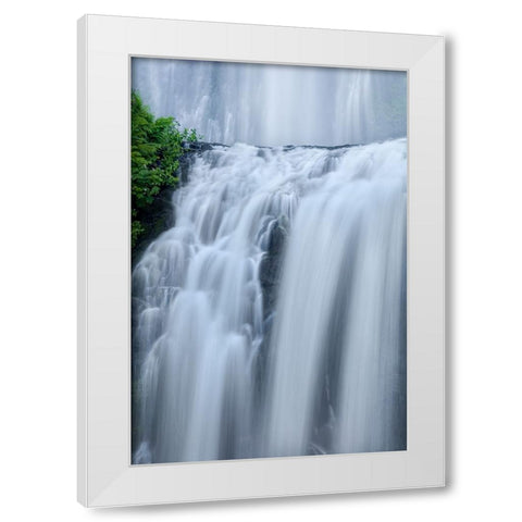 Shower Curtains White Modern Wood Framed Art Print by Sherrell, Bill