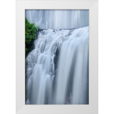 Shower Curtains White Modern Wood Framed Art Print by Sherrell, Bill