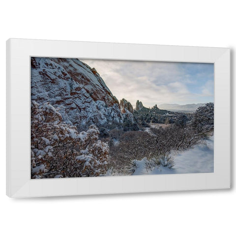 Snowbound White Modern Wood Framed Art Print by Sherrell, Bill