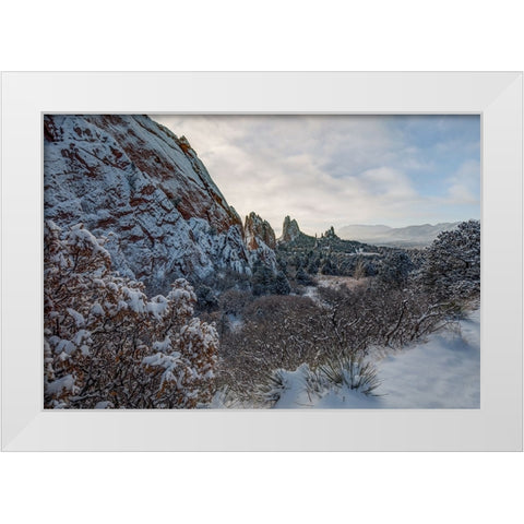 Snowbound White Modern Wood Framed Art Print by Sherrell, Bill