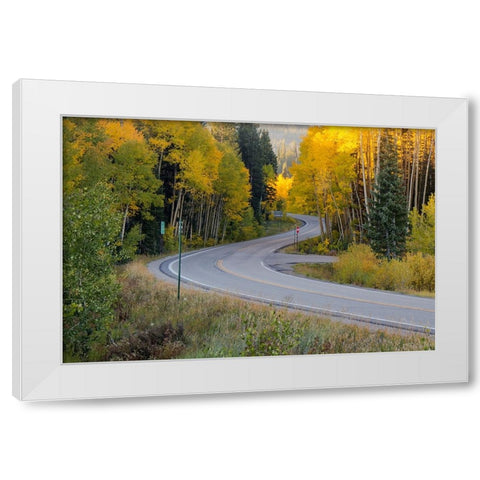 The Golden Highway White Modern Wood Framed Art Print by Sherrell, Bill