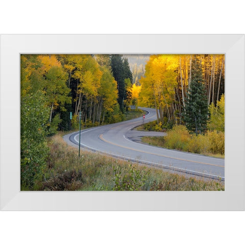 The Golden Highway White Modern Wood Framed Art Print by Sherrell, Bill