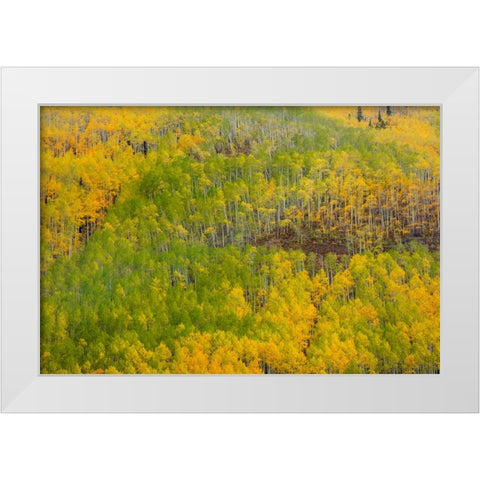 Transition White Modern Wood Framed Art Print by Sherrell, Bill