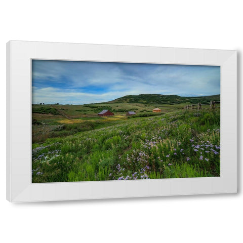 Wildflowers At The True Grit Ranch 1 White Modern Wood Framed Art Print by Sherrell, Bill
