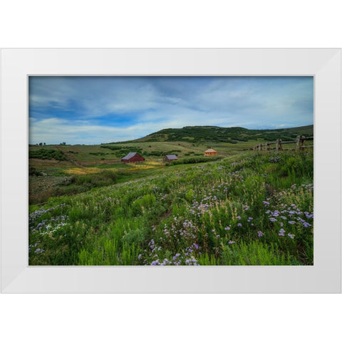 Wildflowers At The True Grit Ranch 1 White Modern Wood Framed Art Print by Sherrell, Bill
