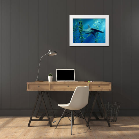 Hammerhead White Modern Wood Framed Art Print by Eskridge, Daniel