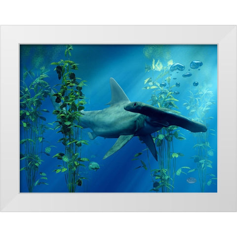 Hammerhead White Modern Wood Framed Art Print by Eskridge, Daniel