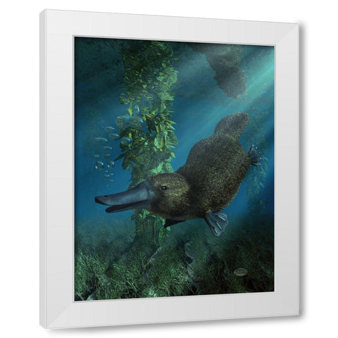 Platypus White Modern Wood Framed Art Print by Eskridge, Daniel