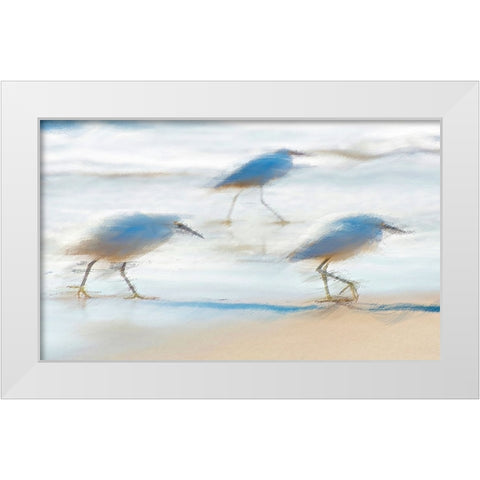 Pipers on a beach A White Modern Wood Framed Art Print by Manlove, David