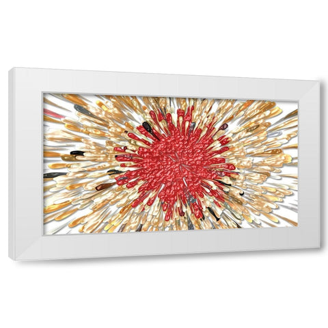 Cardinal Splash 3e White Modern Wood Framed Art Print by Manlove, David