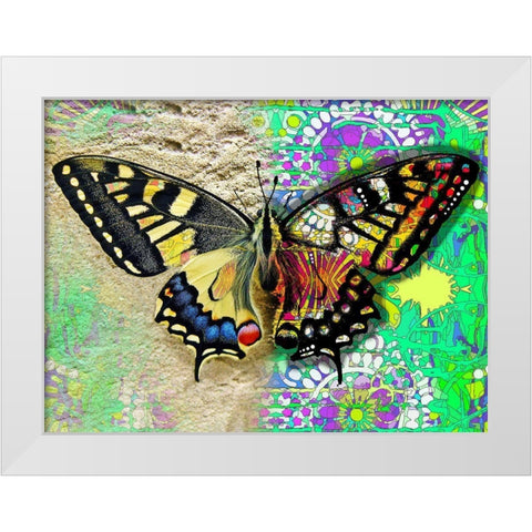 Exposed Butterfly White Modern Wood Framed Art Print by Dean Russo Collection