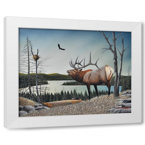 Bugling Elk White Modern Wood Framed Art Print by Engler, Don