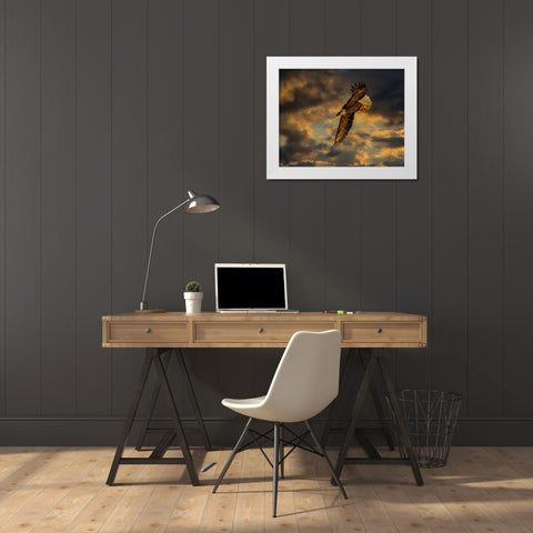 Bald Eagle at Sunset White Modern Wood Framed Art Print by Galloimages Online