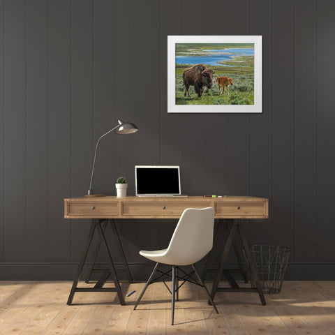 Bison Cow and Calf YNP White Modern Wood Framed Art Print by Galloimages Online