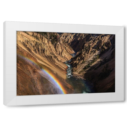 Brink of Lower Falls YNP White Modern Wood Framed Art Print by Galloimages Online