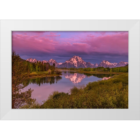 Magenta Sunrise  Oxbow Bend White Modern Wood Framed Art Print by Galloimages Online