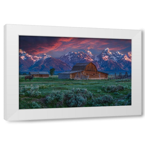 Mormon Row Barn Sunrise White Modern Wood Framed Art Print by Galloimages Online