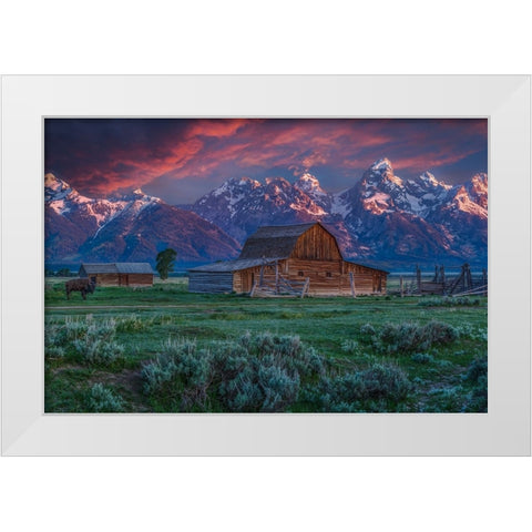 Mormon Row Barn Sunrise White Modern Wood Framed Art Print by Galloimages Online