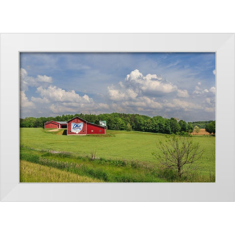 Ohio Farm White Modern Wood Framed Art Print by Galloimages Online