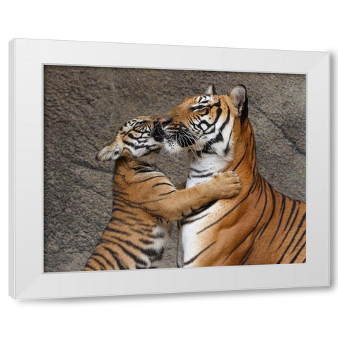 A Kiss For Mom White Modern Wood Framed Art Print by Galloimages Online