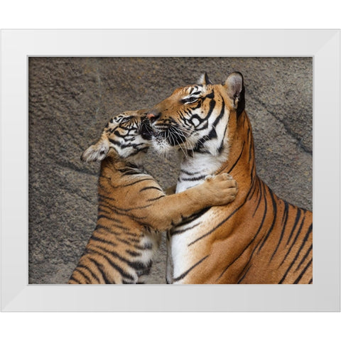A Kiss For Mom White Modern Wood Framed Art Print by Galloimages Online