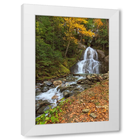 Moss Glen Falls in VT White Modern Wood Framed Art Print by Galloimages Online