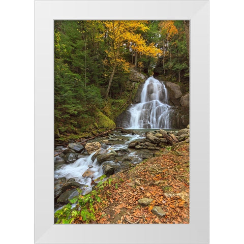 Moss Glen Falls in VT White Modern Wood Framed Art Print by Galloimages Online