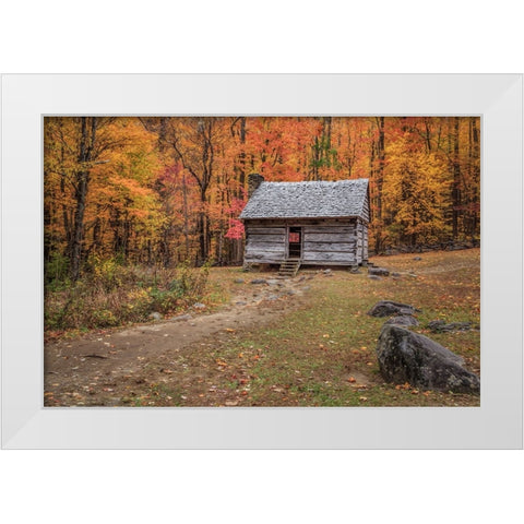 Alex Cole Cabin White Modern Wood Framed Art Print by Galloimages Online