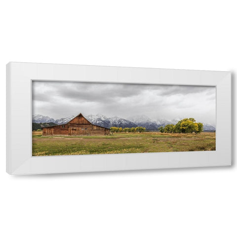 Almost Peak White Modern Wood Framed Art Print by Galloimages Online