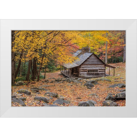 Bud Ogle Cabin White Modern Wood Framed Art Print by Galloimages Online