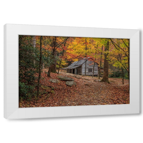 Bud Ogle Place -Composition 2 White Modern Wood Framed Art Print by Galloimages Online