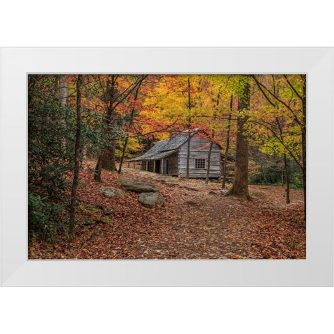 Bud Ogle Place -Composition 2 White Modern Wood Framed Art Print by Galloimages Online