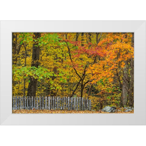 Fall Fence Scene White Modern Wood Framed Art Print by Galloimages Online