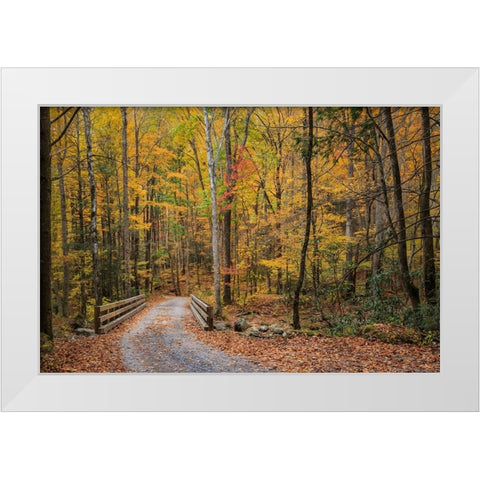 Greenbrier Bridge Path White Modern Wood Framed Art Print by Galloimages Online