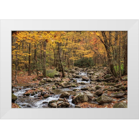 Greenbrier Cascade White Modern Wood Framed Art Print by Galloimages Online