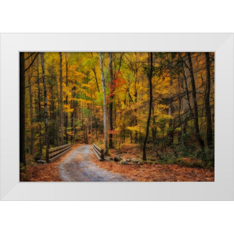 Greenbrier Path White Modern Wood Framed Art Print by Galloimages Online