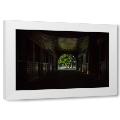 Horse Farm Barn (Inside And Out) White Modern Wood Framed Art Print by Galloimages Online