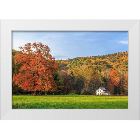 Little House In The Fall White Modern Wood Framed Art Print by Galloimages Online