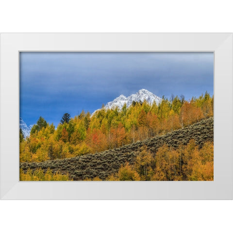 Mountain Fall Color White Modern Wood Framed Art Print by Galloimages Online