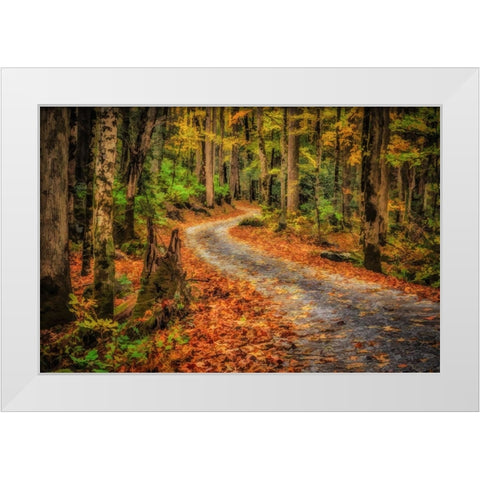 Path In Greenbrier Watercolor White Modern Wood Framed Art Print by Galloimages Online