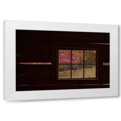 Roaring Fork Cabin Window White Modern Wood Framed Art Print by Galloimages Online